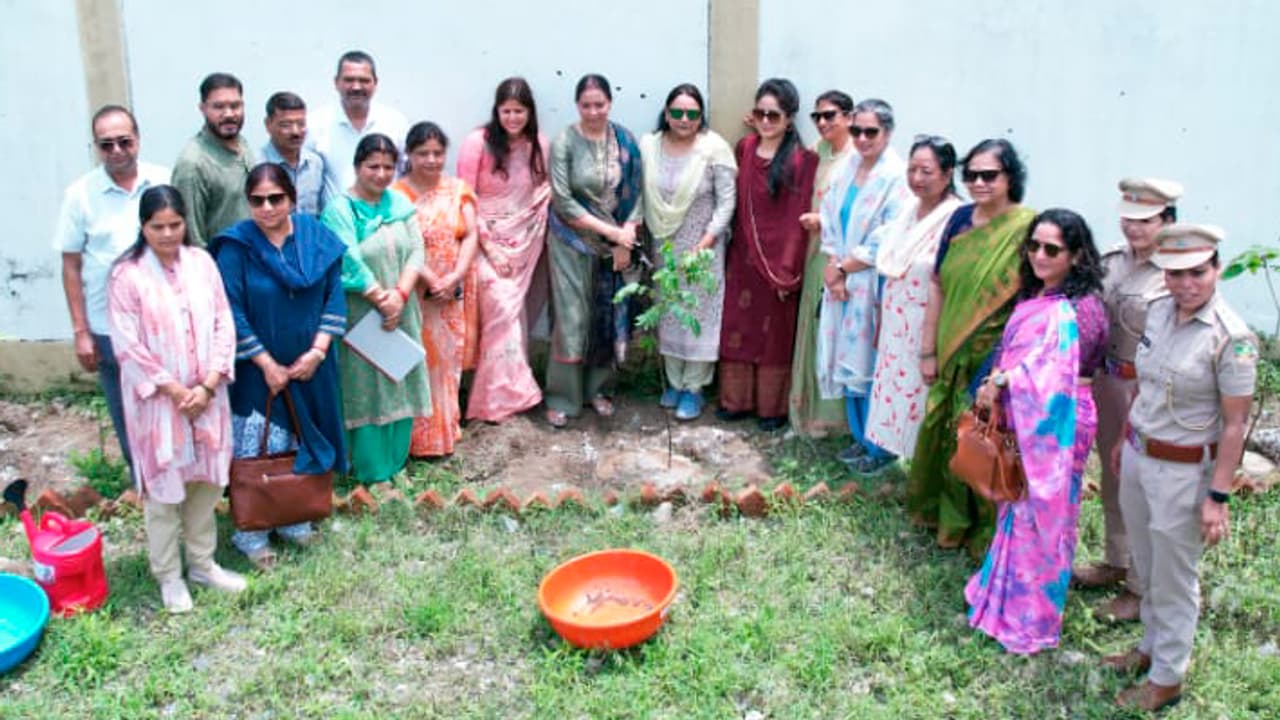harela festival celebrated in sanjeevani sanstha dehradun harela festival celebrated in sanjeevani sanstha dehradun