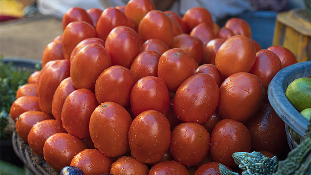 nccf and nafed sale tomato at 40 rupees per kg from 20 August