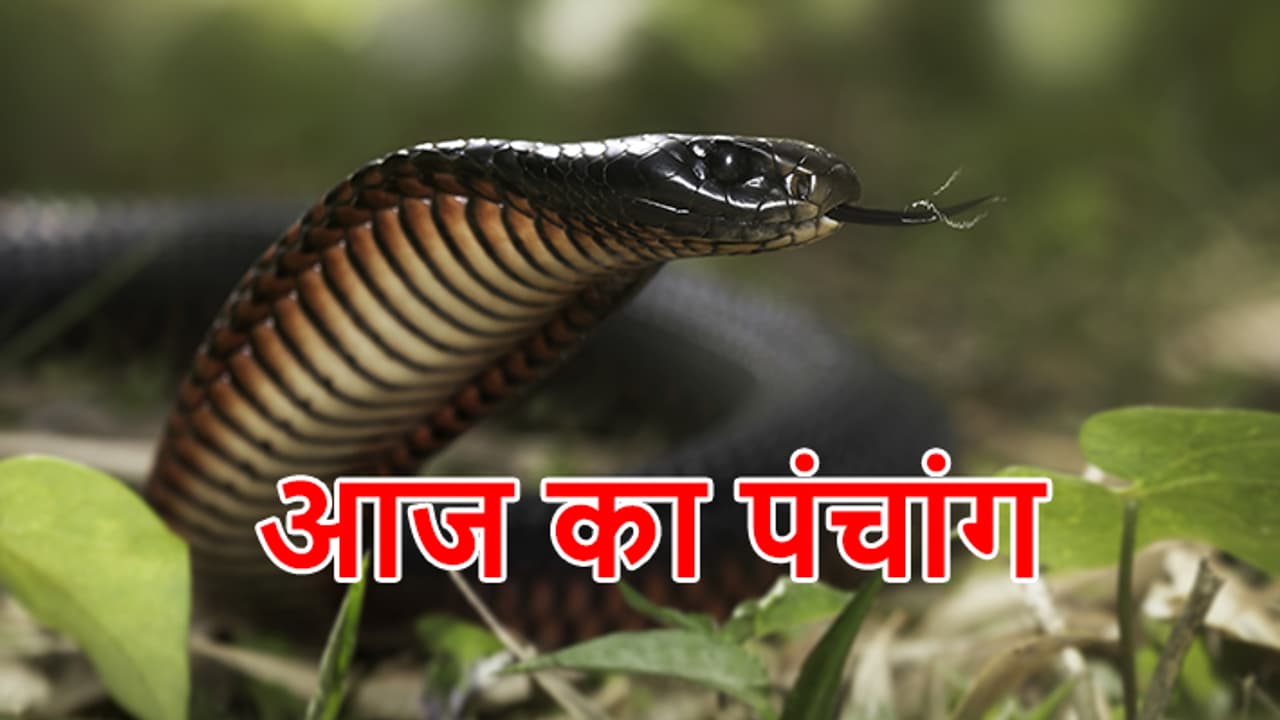 21 august 2023 panchang 21 august 2023 panchang