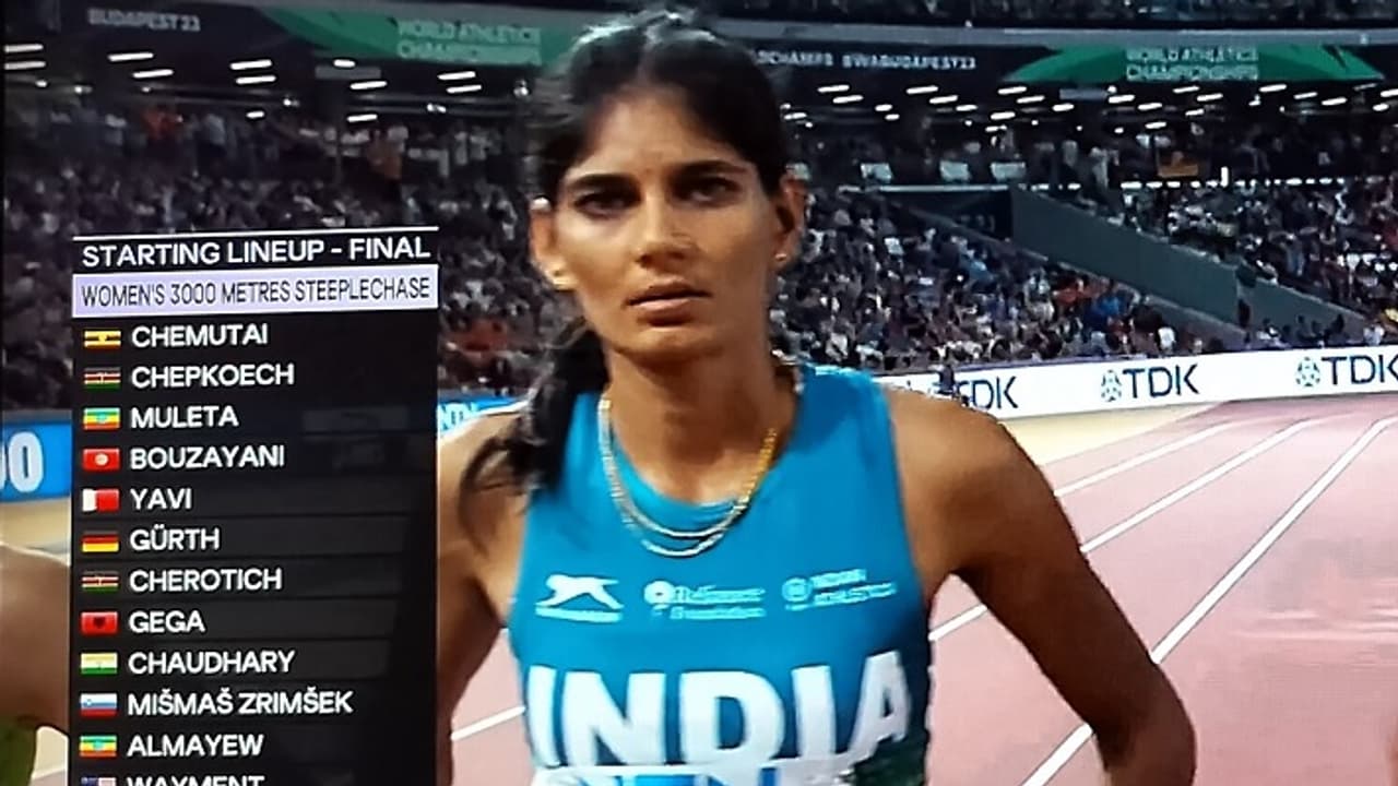 Parul Chaudhary Parul Chaudhary