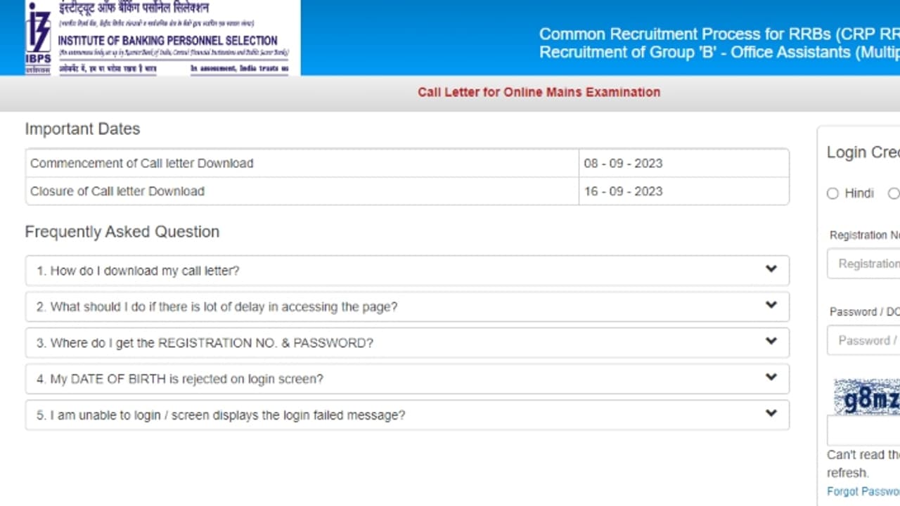 IBPS RRB Clerk Main Admit Card 2023 out IBPS RRB Clerk Main Admit Card 2023 out