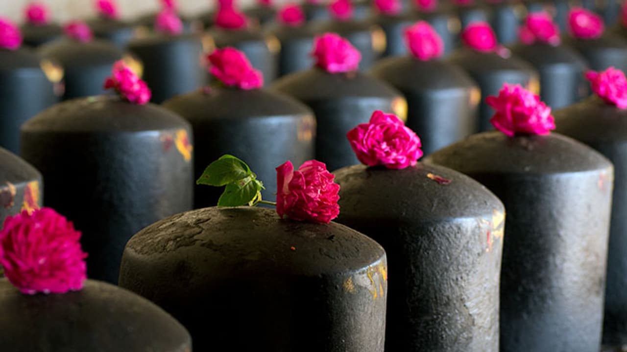 mangal pradosh 2023 mangal pradosh 2023