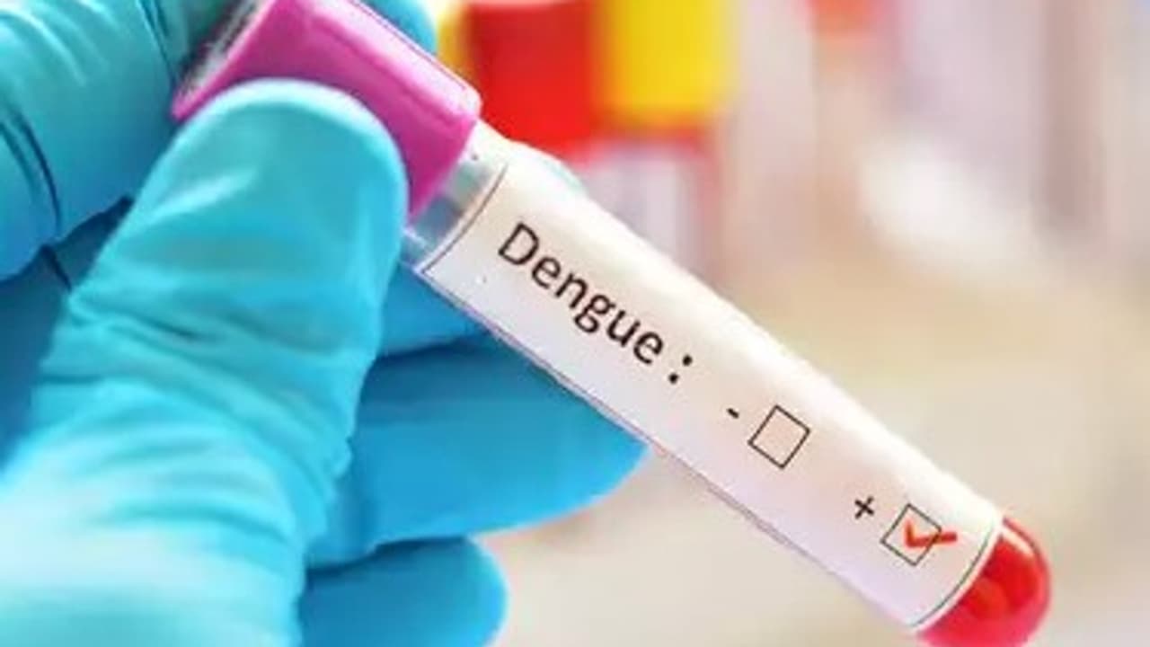 dengue dengue