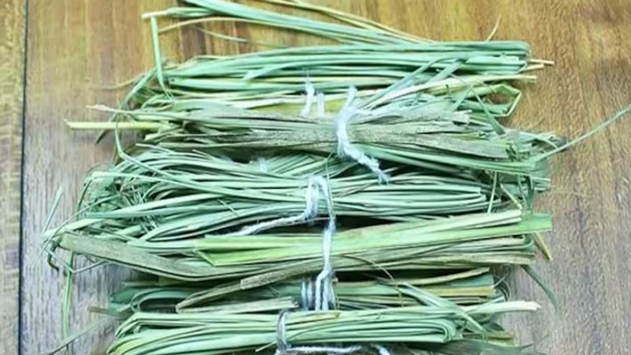 kushgrahani amawasya 2023 kushgrahani amawasya 2023