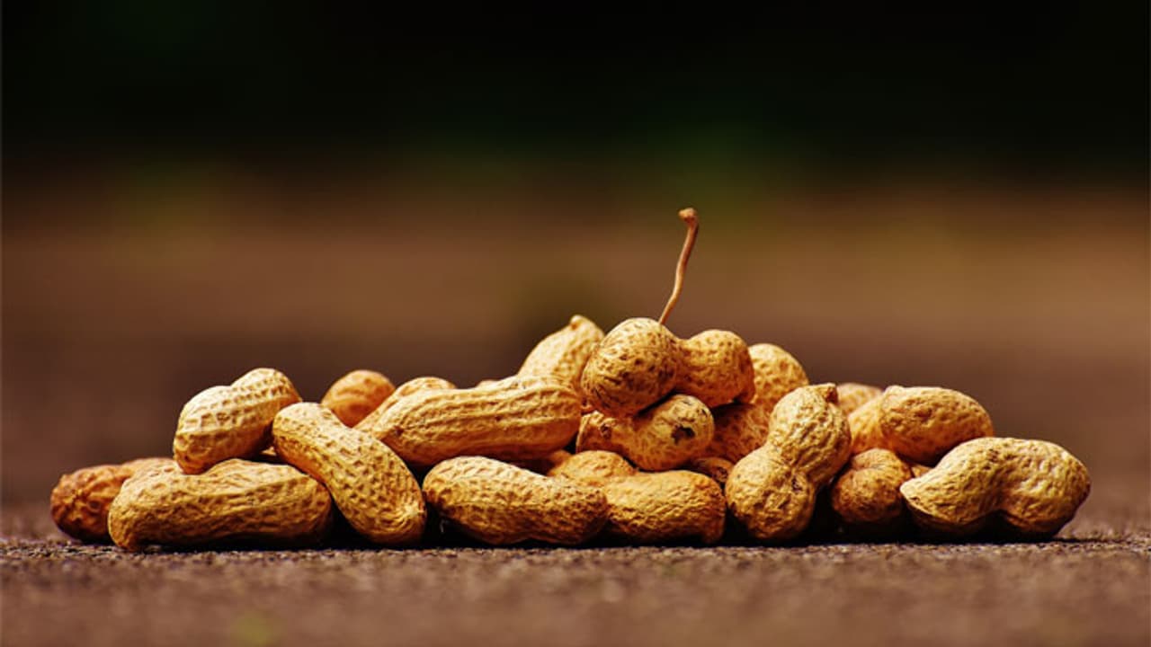 Peanut Day Peanut Day