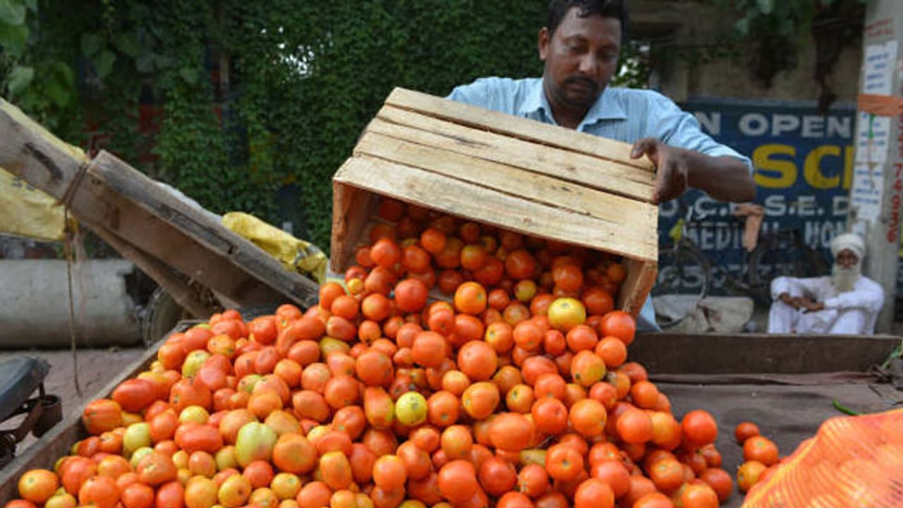 Tomato Price Tomato Price