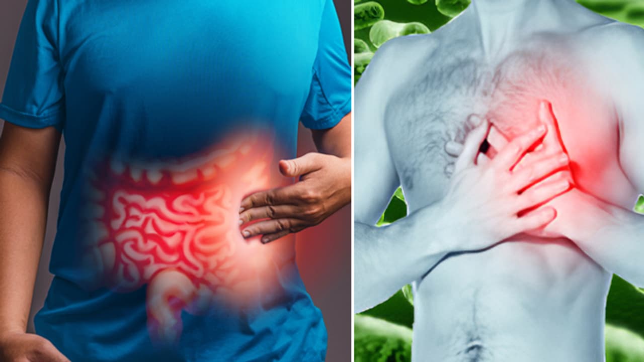 gut health and heart attack gut health and heart attack