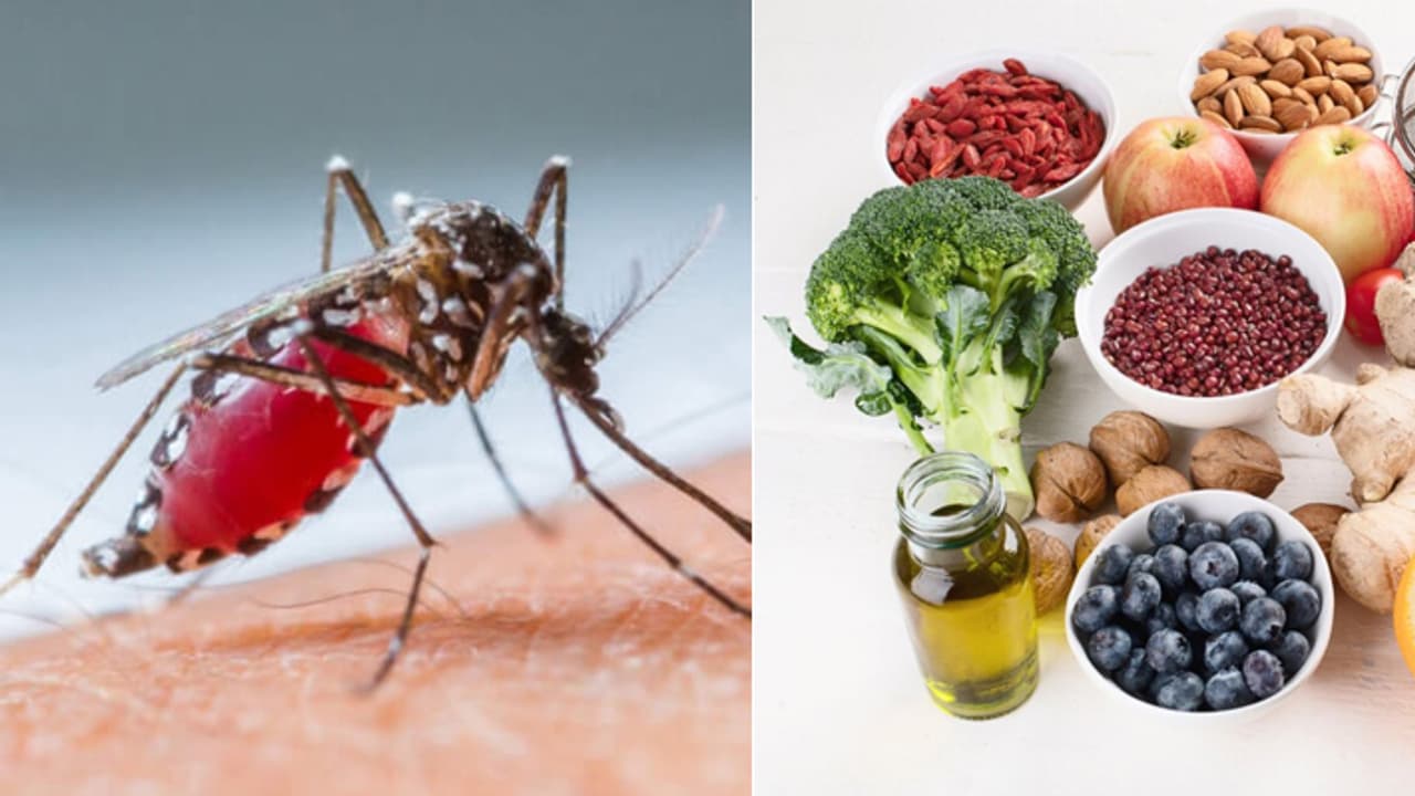 how to increase platelets