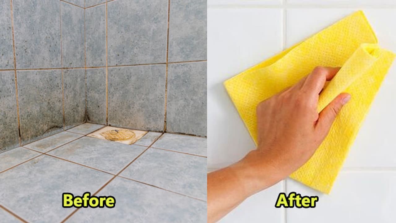 floor clean floor clean