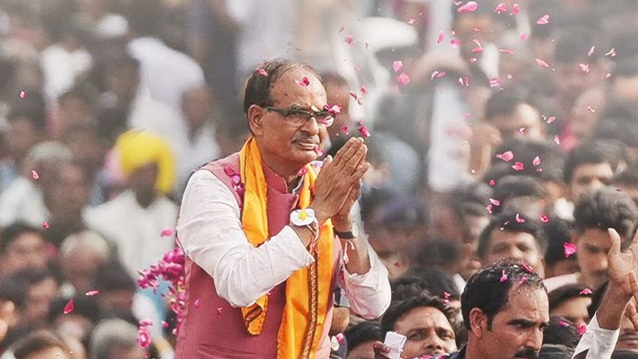 MP Election 2023 India TV CNX opinion Poll MP Election 2023 India TV CNX opinion Poll