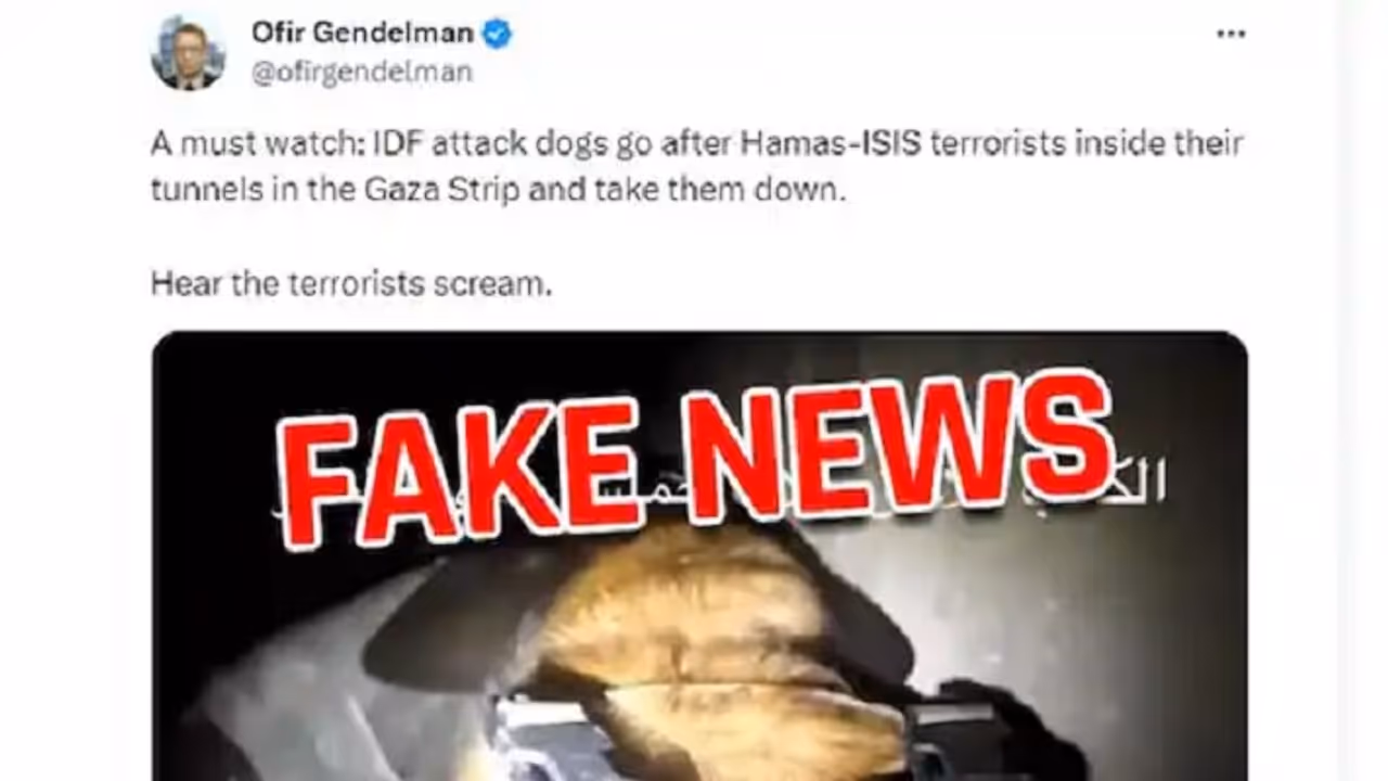 IDF Dog Attack Video