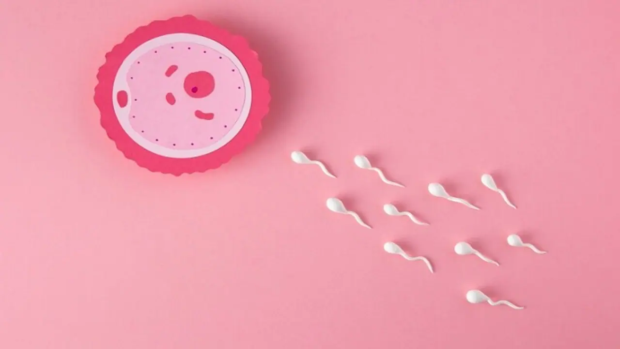 Anti Vax Sperm Anti Vax Sperm