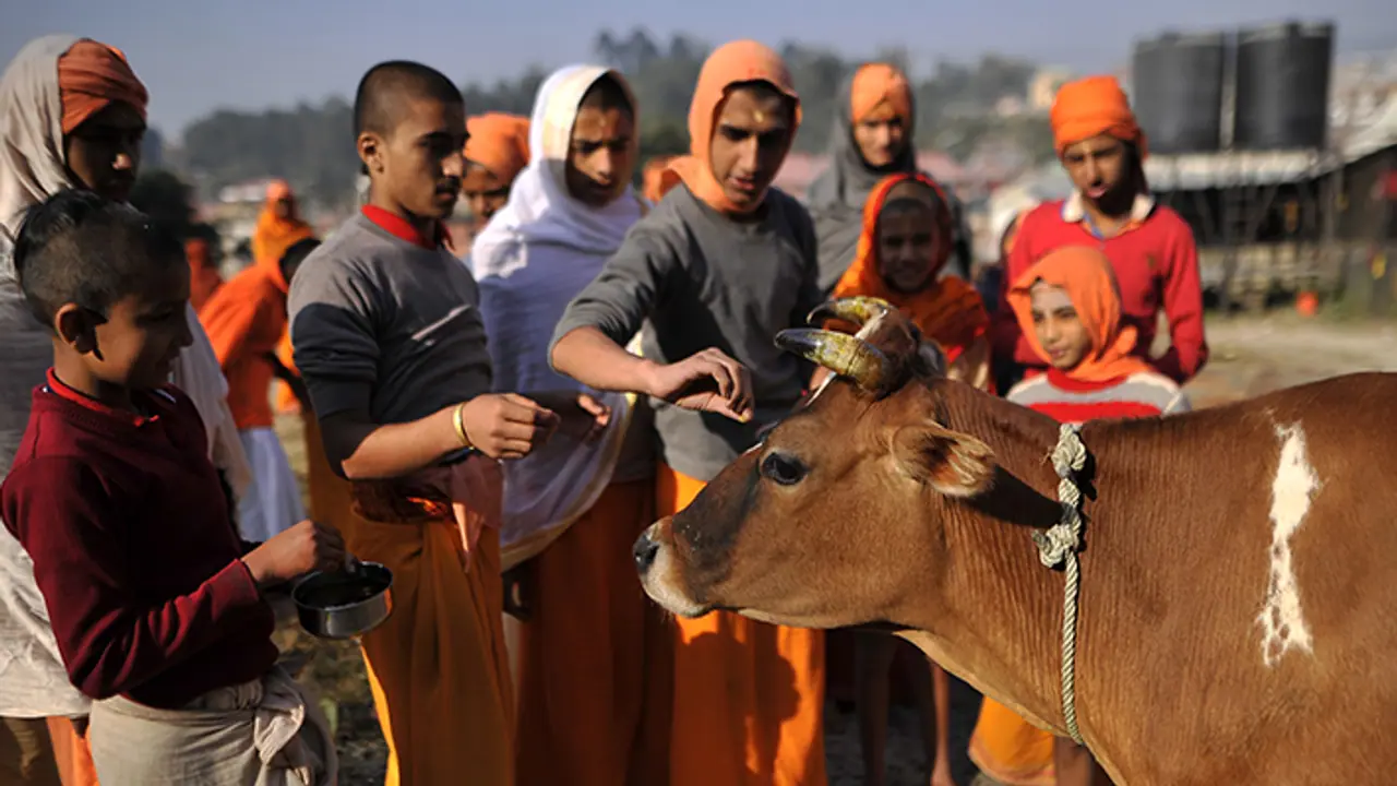 govatasa dwadashi 2023 govatasa dwadashi 2023