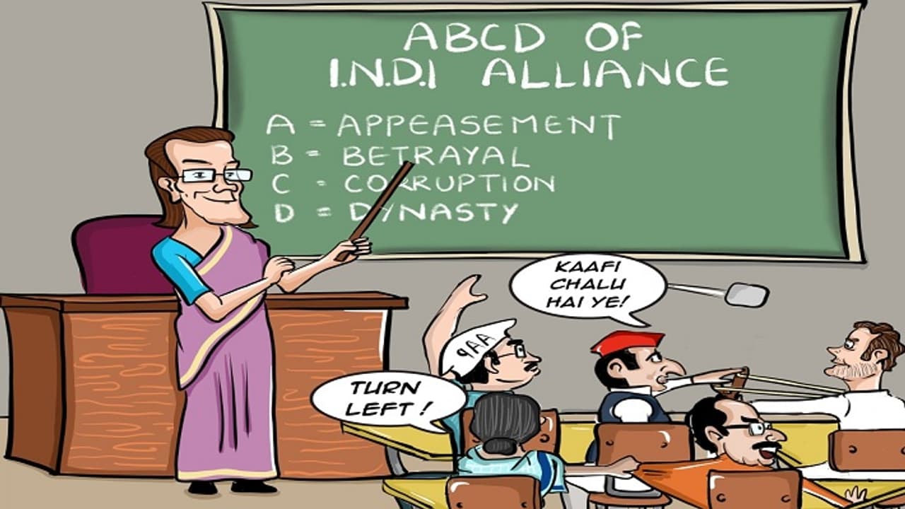 INDI Alliance INDI Alliance