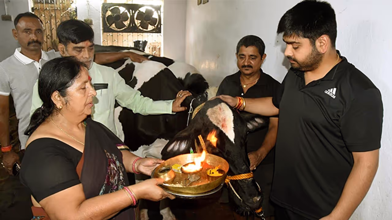 gopashtmi 2023 gopashtmi 2023