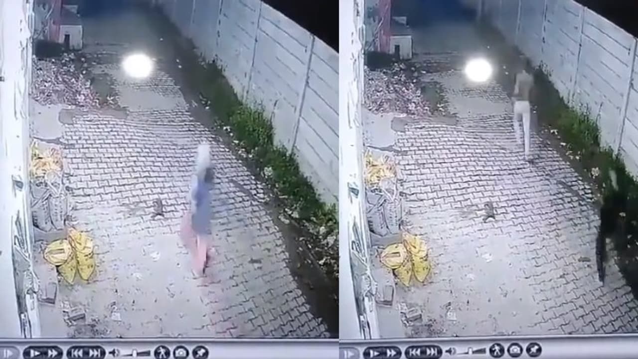cctv video cctv video