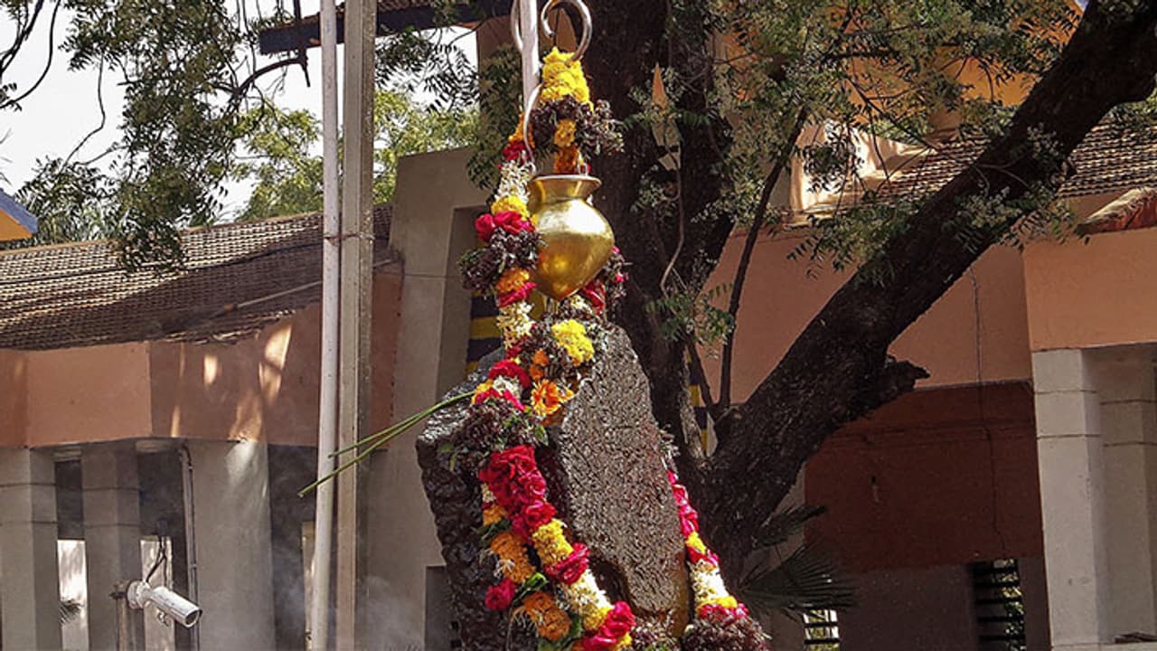 shani upay 2024 shani upay 2024