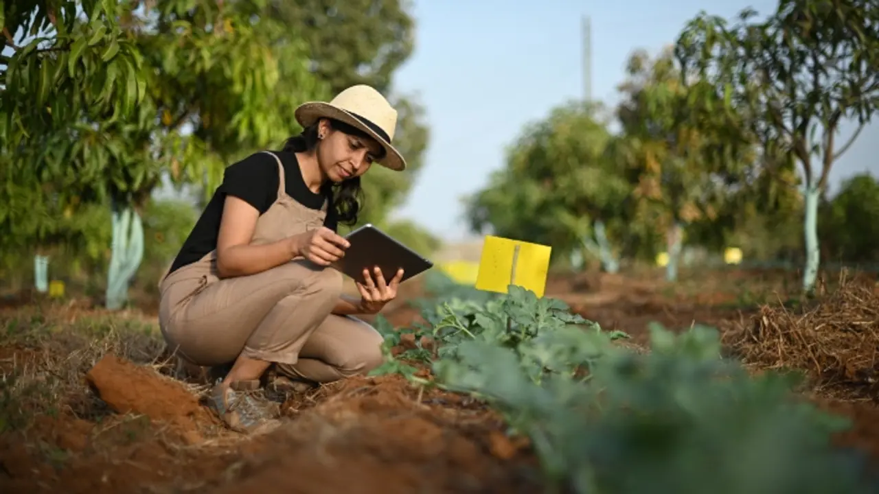बीपीएससी ब्लॉक कृषि अधिकारी अन्य पदों पर भर्ती 2024 बीपीएससी ब्लॉक कृषि अधिकारी अन्य पदों पर भर्ती 2024
