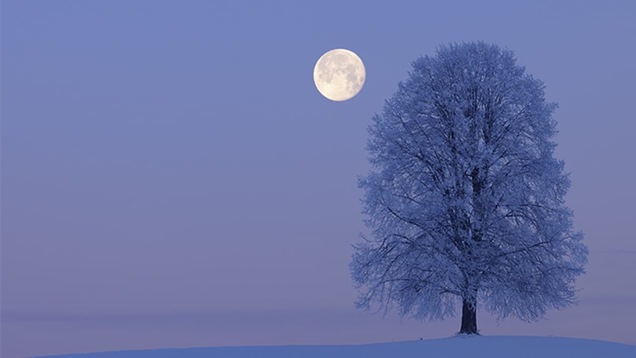 paush purnima 2024 paush purnima 2024