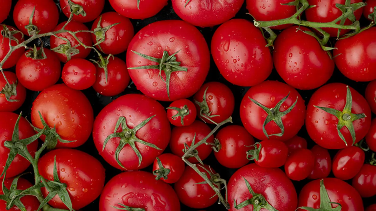Israel innovation on tomatoes