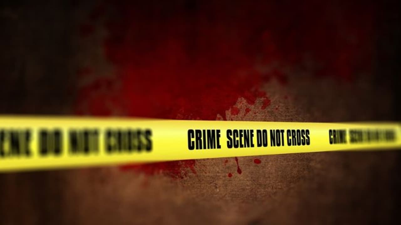 Crime Murder Crime Murder