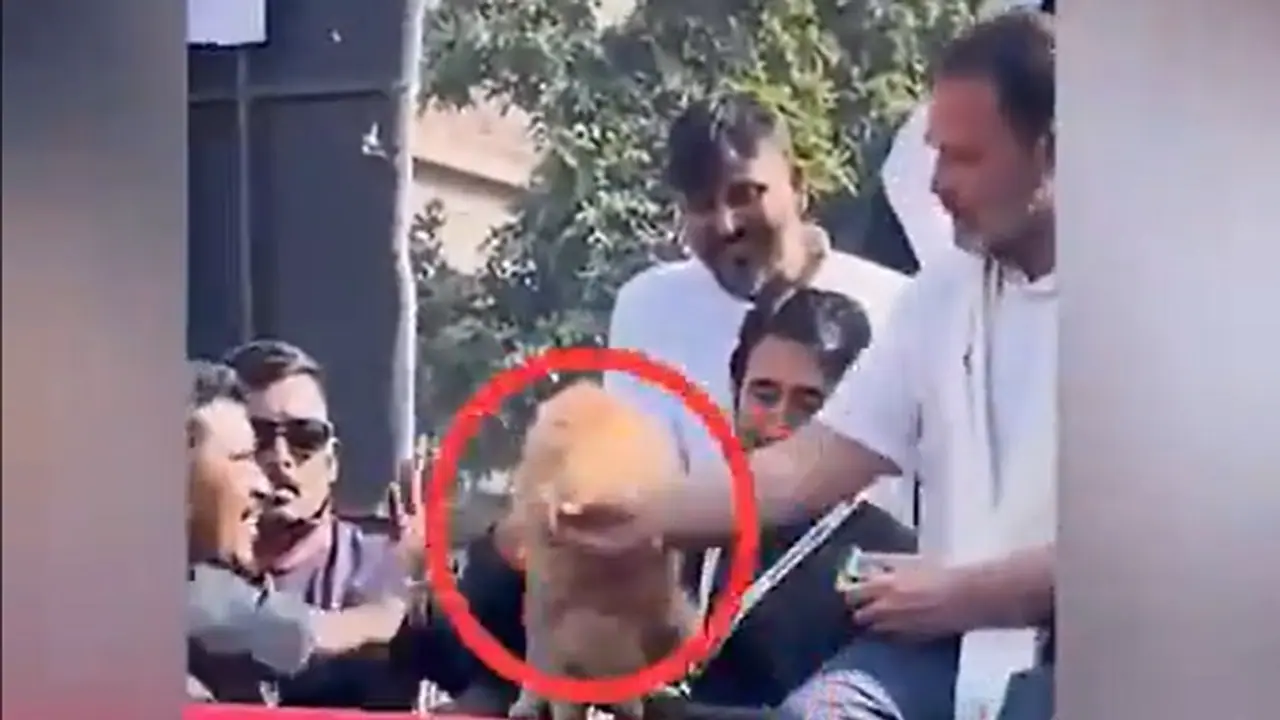 Rahul Gandhi Rahul Gandhi