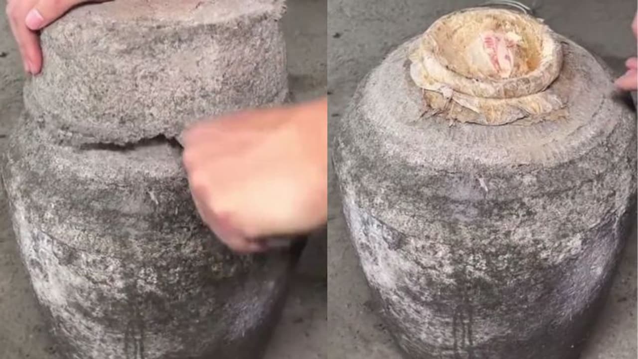 100 years Old Wine 100 years Old Wine