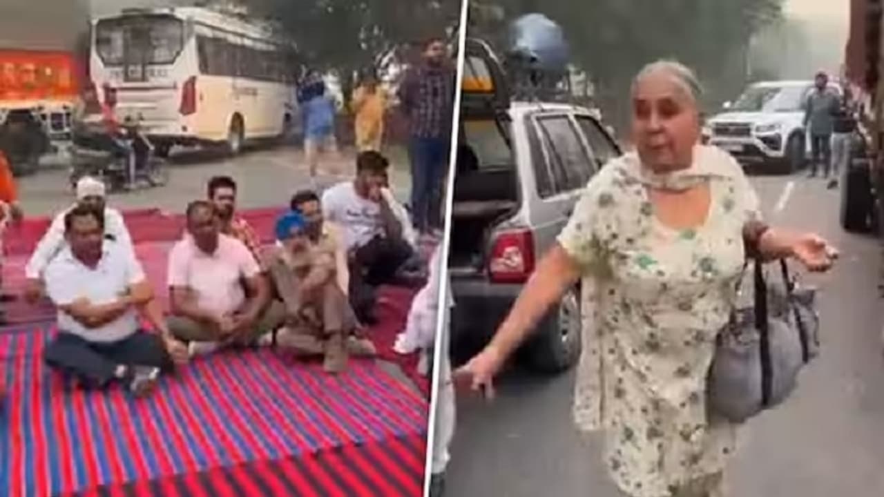 Elderly lady loses cool Elderly lady loses cool
