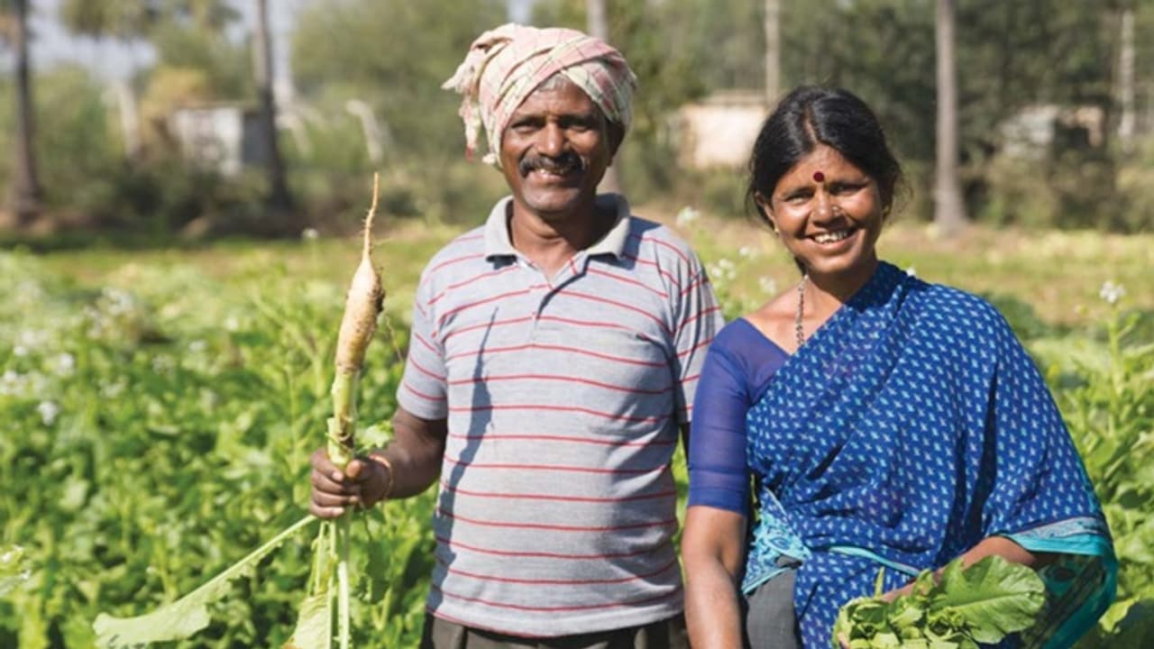 Congress promises to farmers Congress promises to farmers