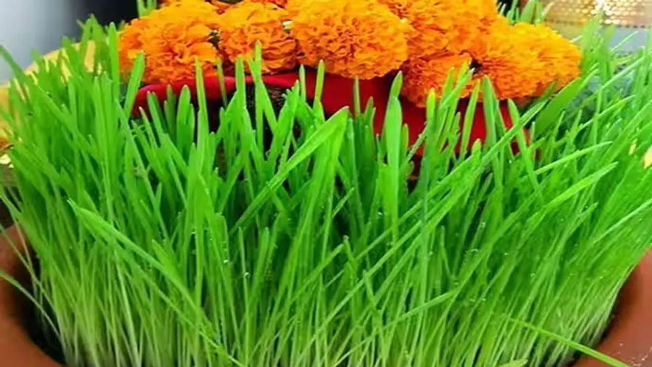 chaitra navratri 2024 jaware visarjan