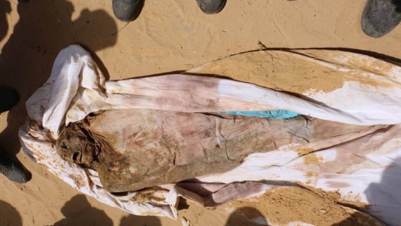 Israel Palestine Israel Palestine