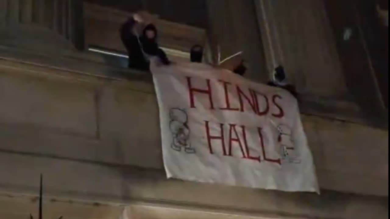 Palestine Protestor Palestine Protestor