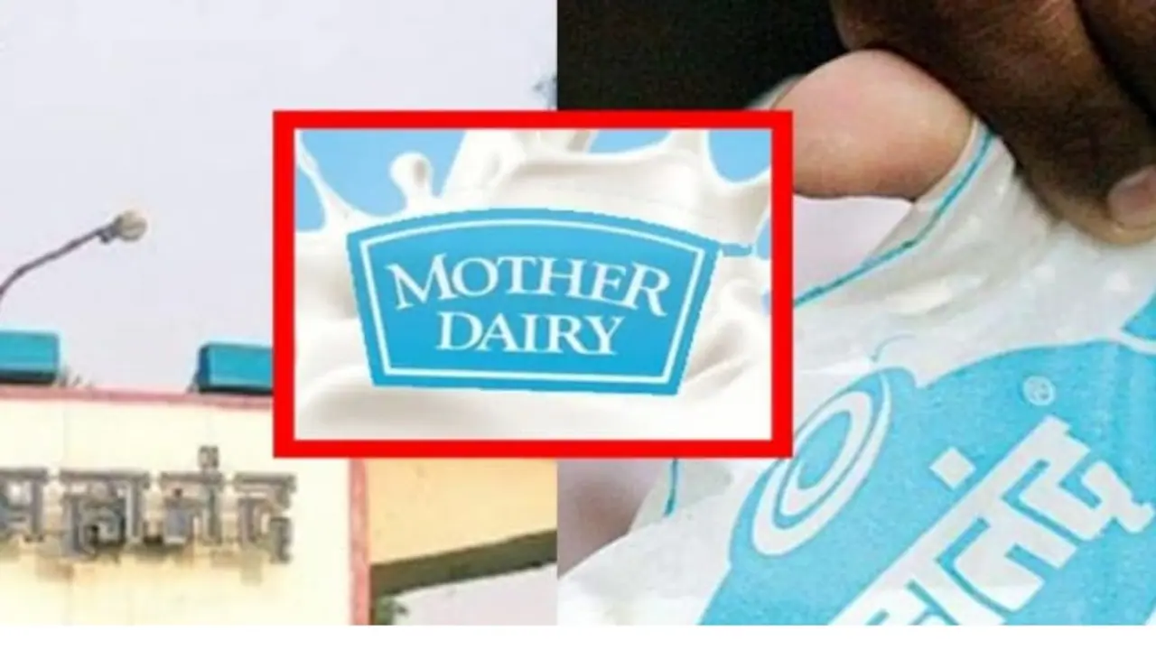 mahanad dairy mahanad dairy