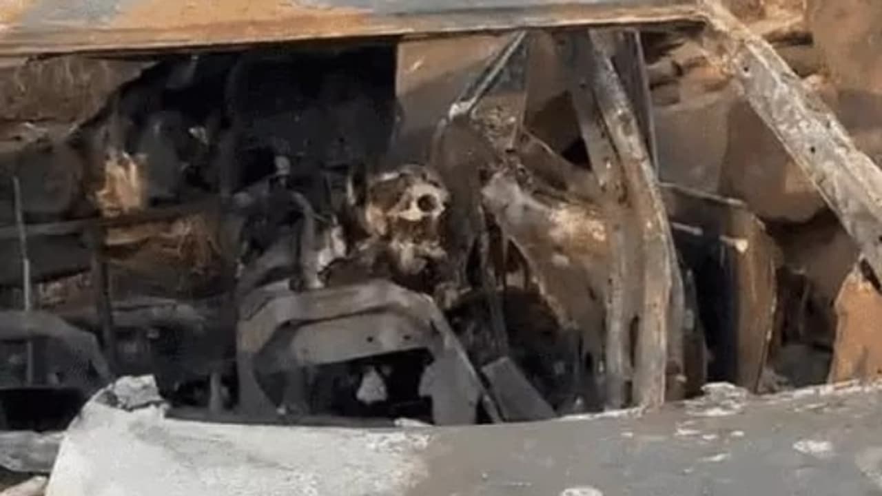 Rajasthan young man Rajasthan young man