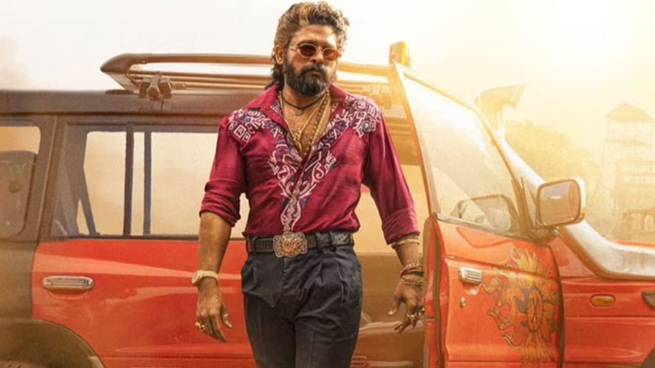 Triptii Dimri In Pushpa 2 Triptii Dimri In Pushpa 2