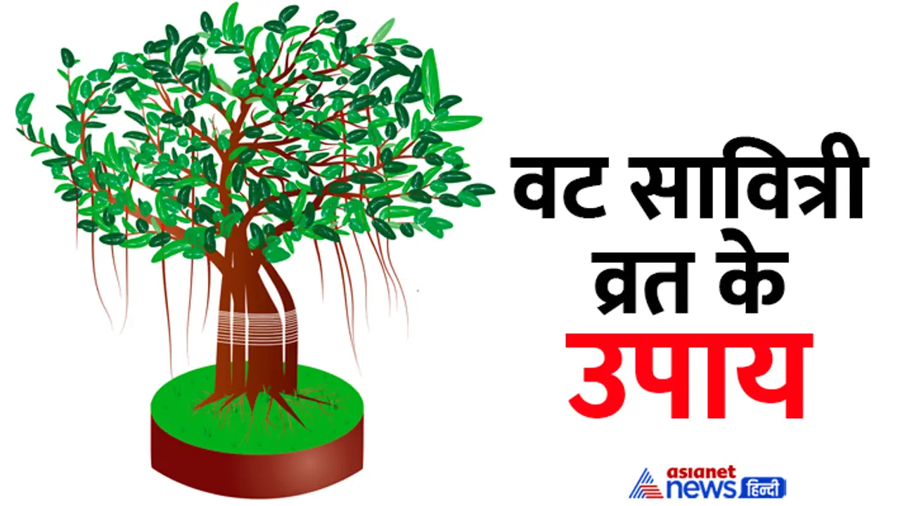 Vat Savitri Vrat 2024 Upay