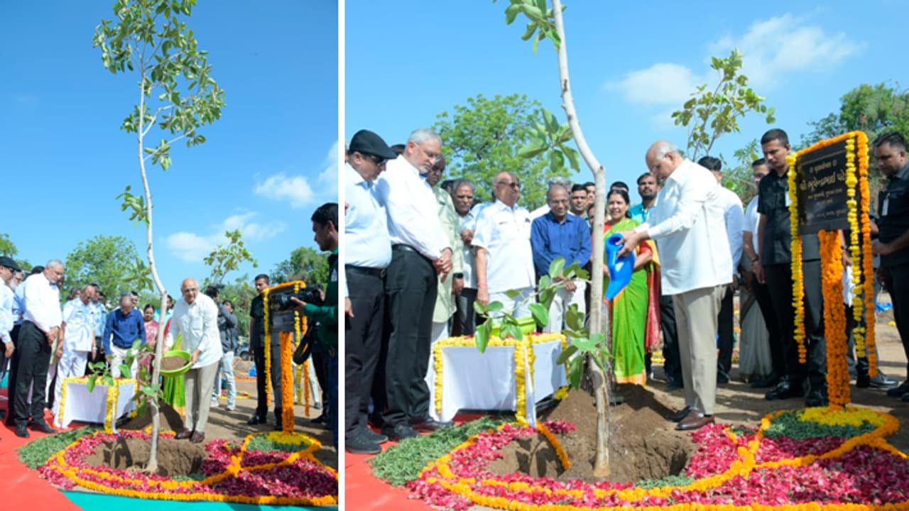 Bhupendra Patel inaugurate Mission Three Million Trees