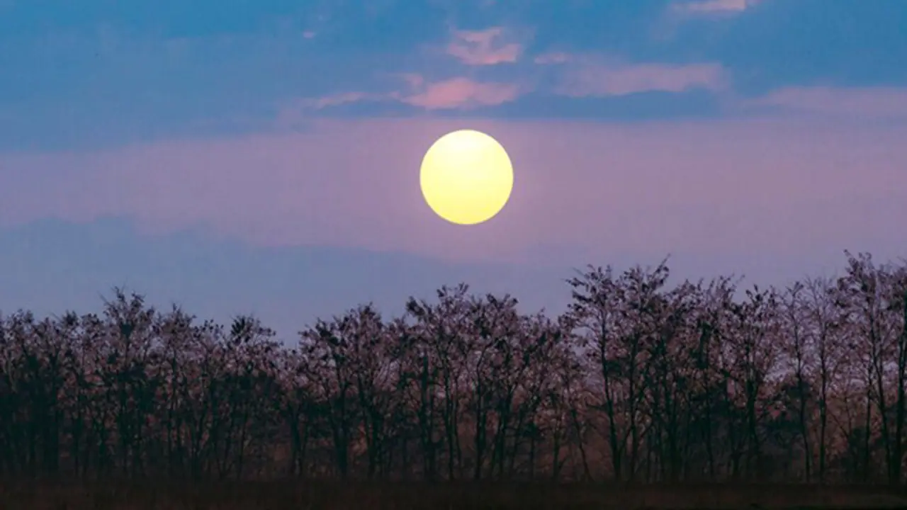 purnima june 2024 purnima june 2024