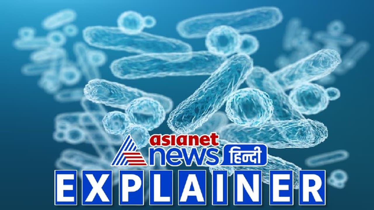 Flesh Eating Bacteria Flesh Eating Bacteria