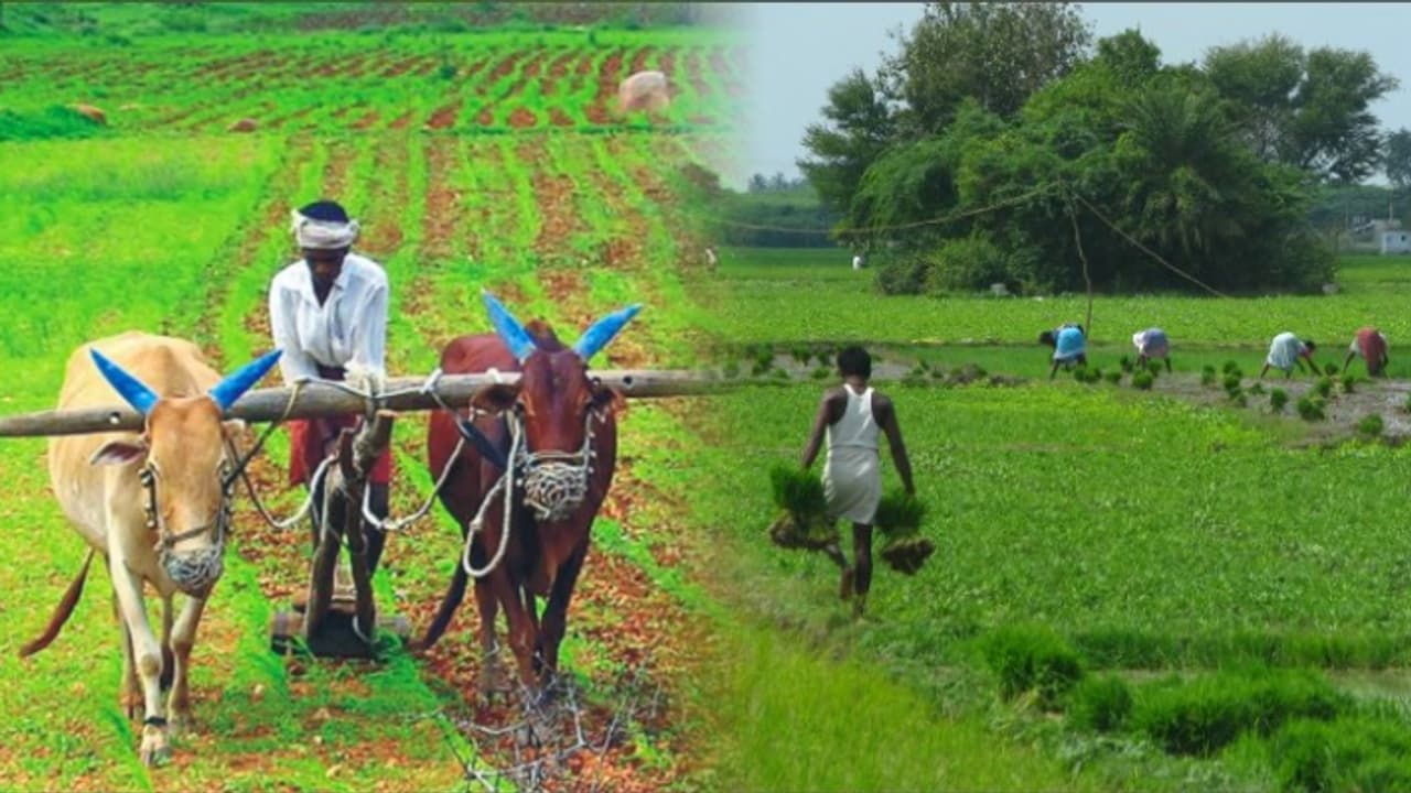 Telangana Farm Loan Waiver