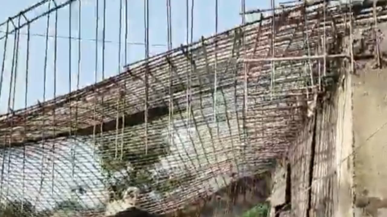 Bihar newsqq Bihar newsqq