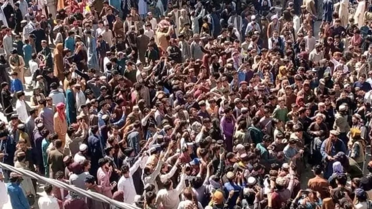 Afghanistan Fans celebrate Afghanistan Fans celebrate