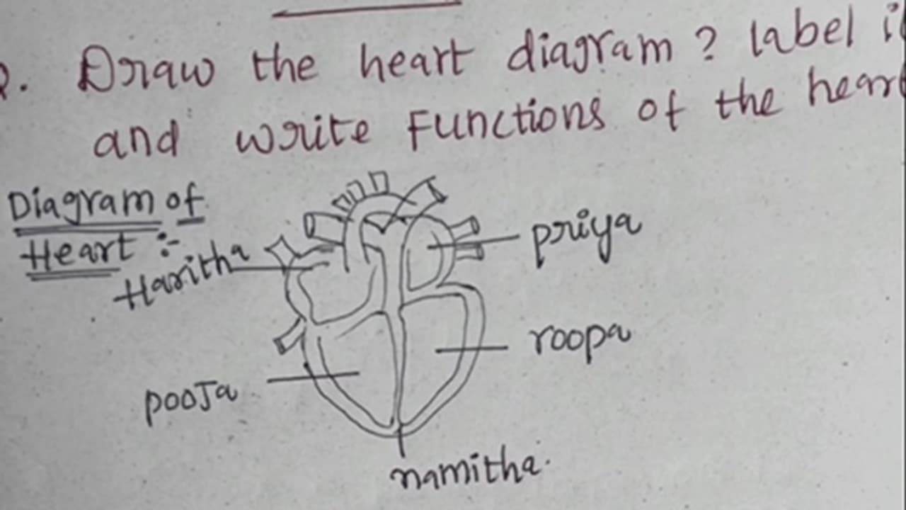 Student heart diagram Student heart diagram