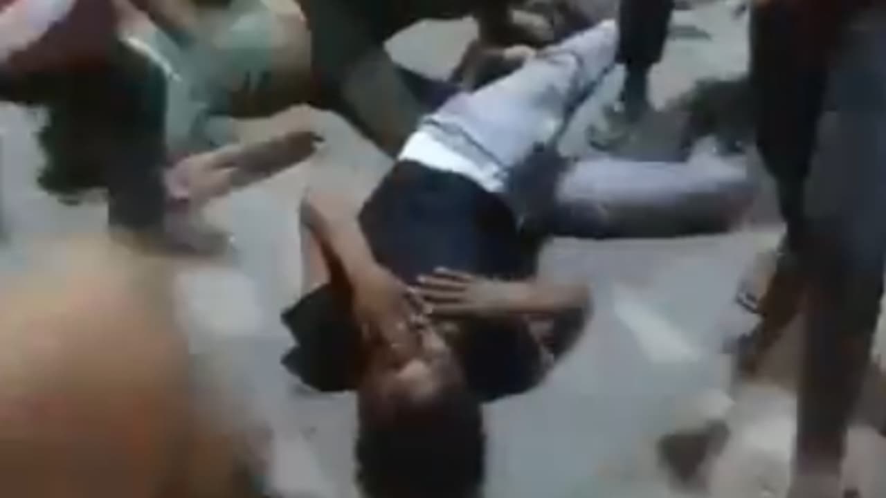 Rajasthan Cow Rajasthan Cow