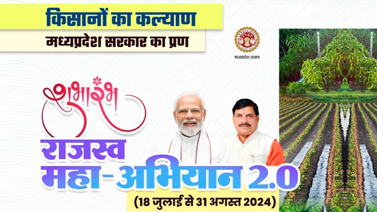 MP Revenue campaignc