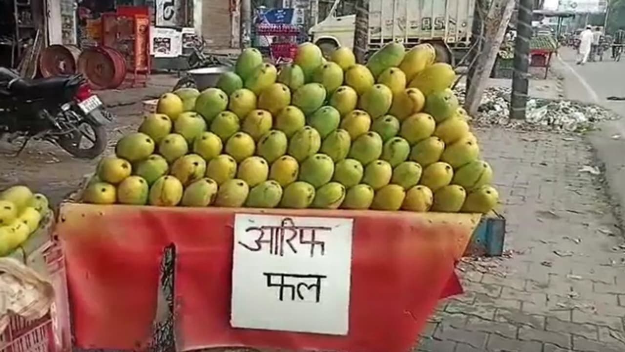 UP Kanwar Yatra UP Kanwar Yatra