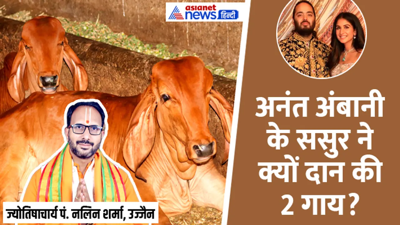 tradition of donating cow in marriage