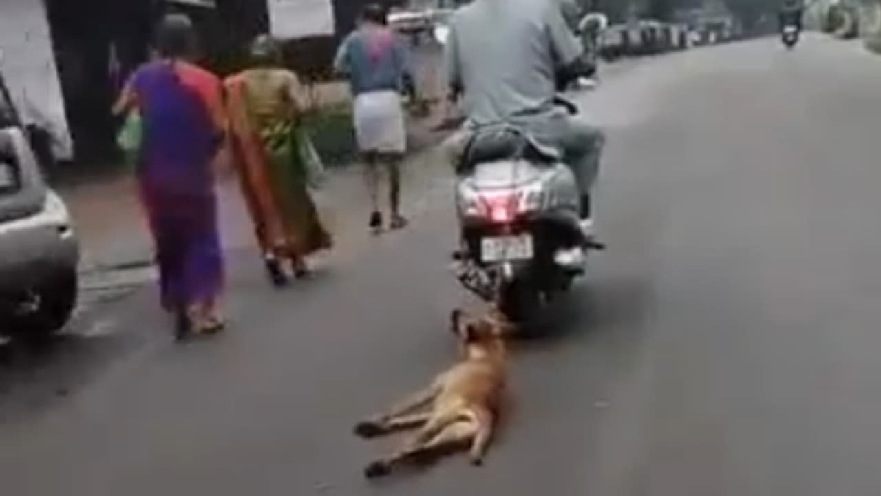 Karnataka News Karnataka News