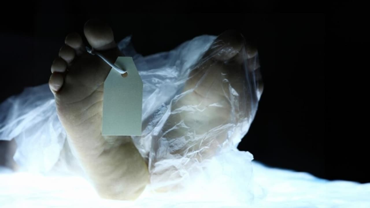 SUICIDE NEWS SUICIDE NEWS