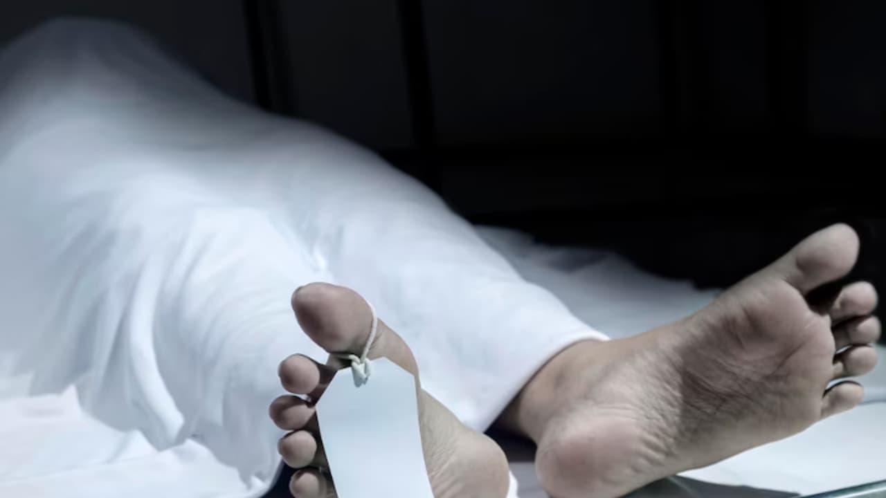 road accident DEATH road accident DEATH